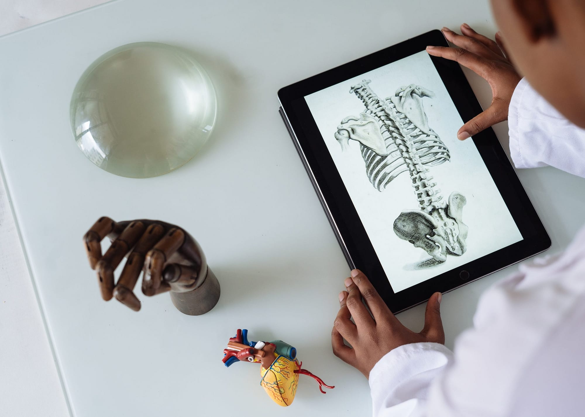 Tablet showing human skeletal system