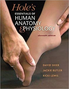 Shier - Holes Essentials of Anatomy & Physiology - 11th [Test Bank File]