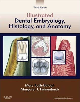 Official Test Bank for Illustrated Dental Embryology, Histology, and Anatomy by Bath-Balog 3rd Edition