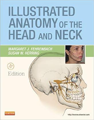 Official Test Bank for Illustrated Anatomy of the Head and Neck by Fehrenbach 4th Edition