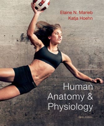 Official Test Bank for Human Anatomy & Physiology by Marieb 9th Edition
