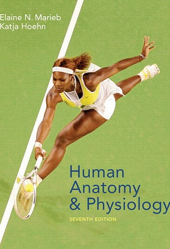Official Test Bank for Human Anatomy & Physiology by Marieb 7th Edition